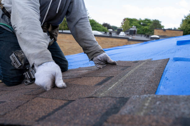 Best New Roof Installation  in Reed Creek, GA